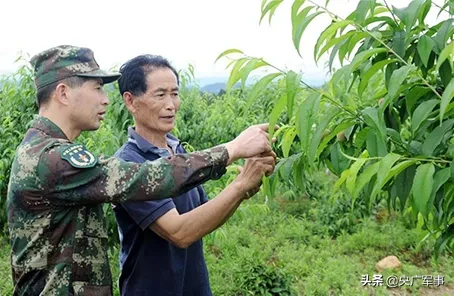 两会•谈国是丨怎样做好退役军人就业保障？如何让抚恤补助资金发放更加科学合理？听听他们怎么说