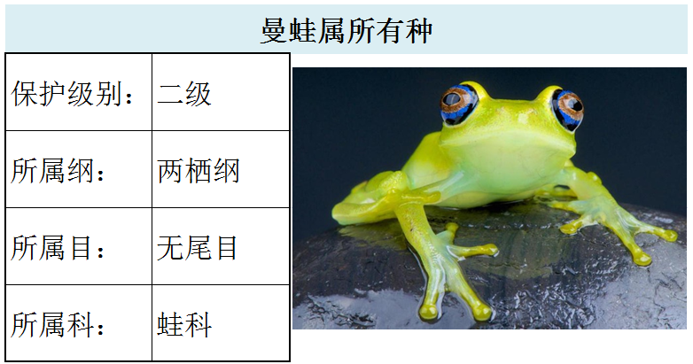 国家最新水生野生保护动物名录（共计三百余种），第2期