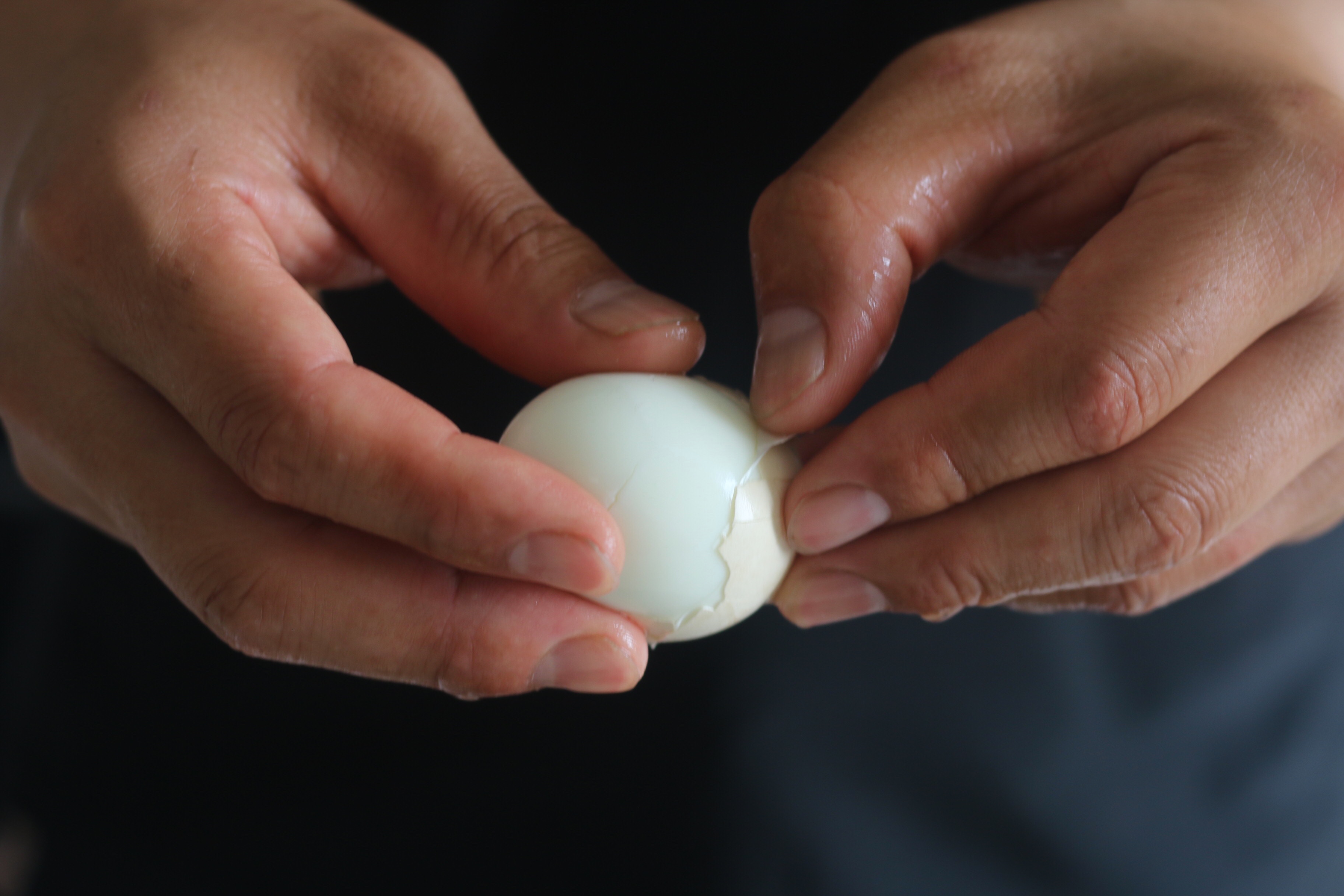 猪肉降到9块，烙几个火烧，卤1锅肉，剁碎一夹，太香了