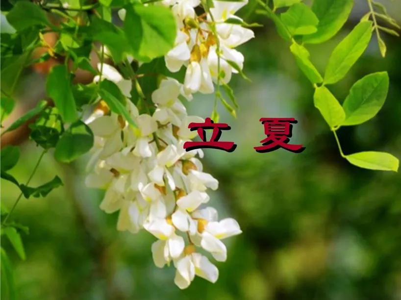 Ĺ(ji)Щ(x)ף39Ԣƽ