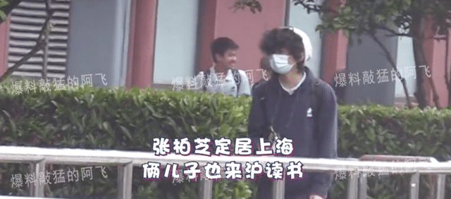 张柏芝首谈三个儿子性格，老三霸道老二阳光，老大安静爱弹吉他