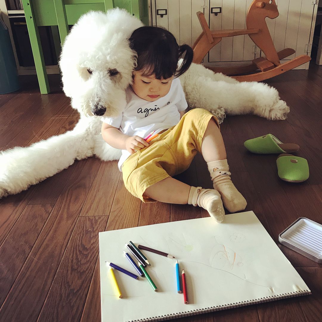 日本老太用贵宾犬给小女孩拍照，结果让你心都融化了