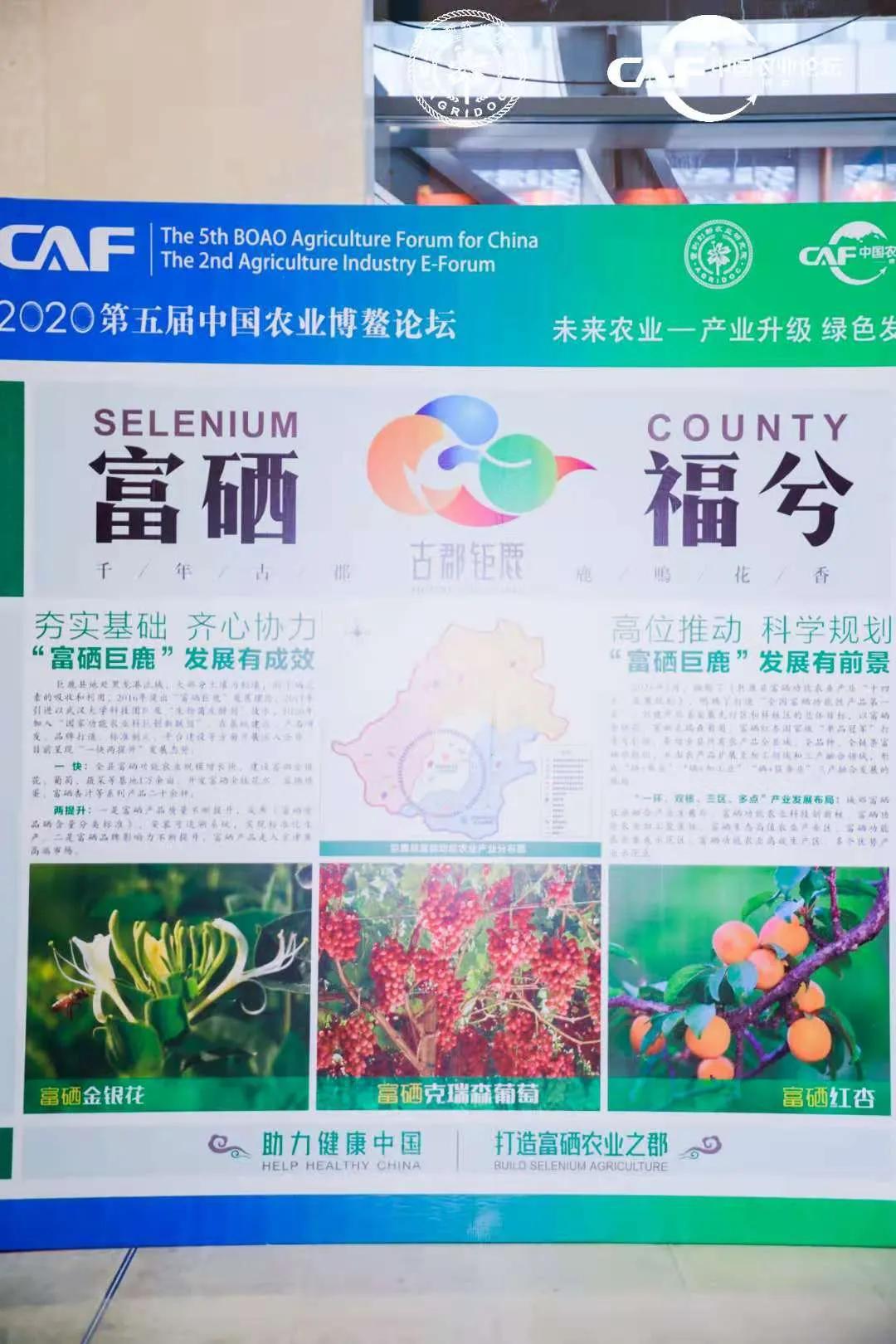 走富硒农业之路,创特色农业强县||巨鹿农业发展新篇章