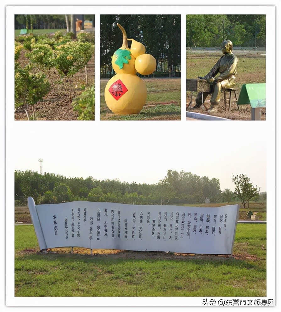 花仙谷中草药园景观全新升级！中医药研学新亮点