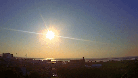 推粪球之前，屎壳郎为什么要跳舞？