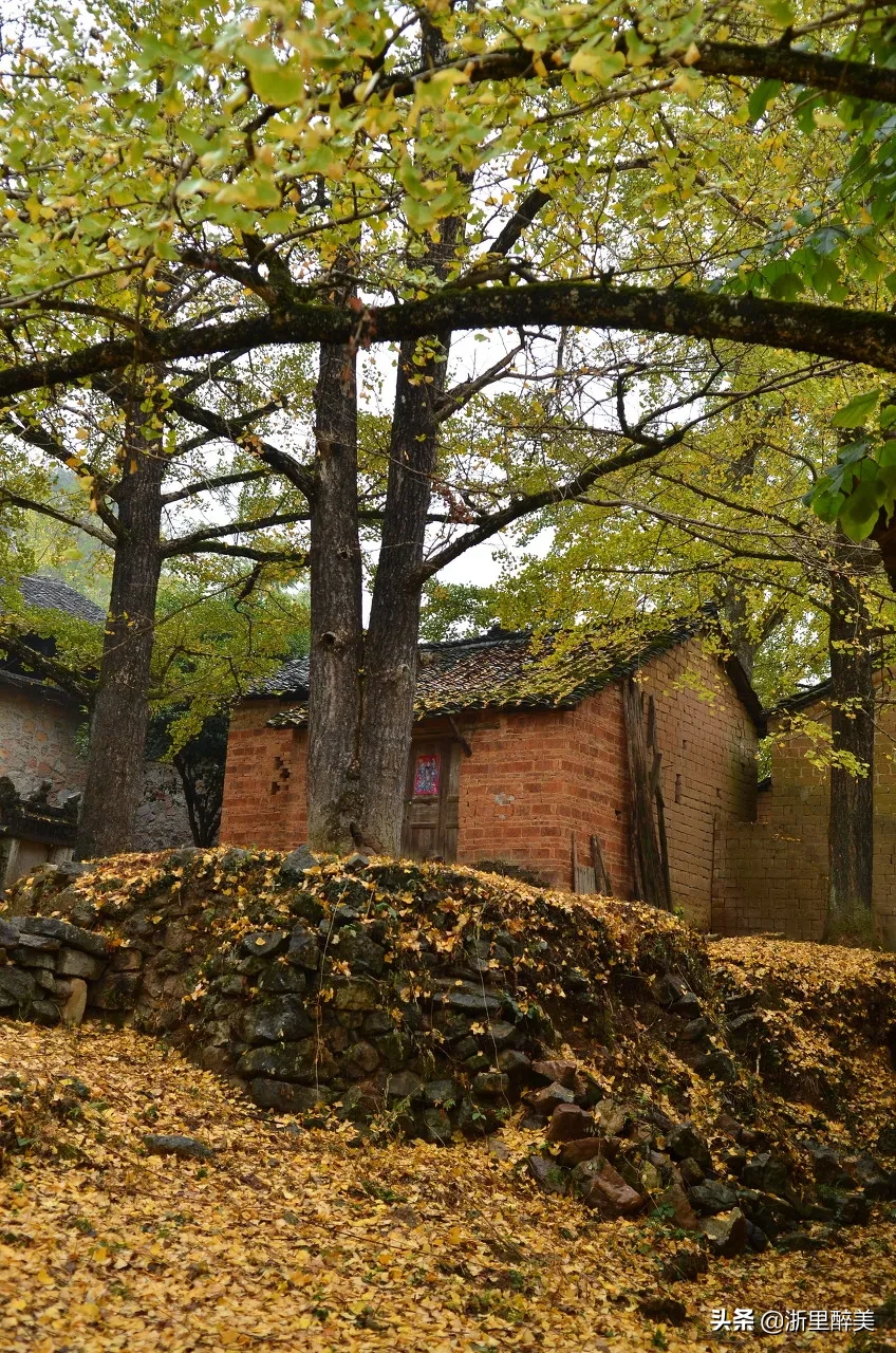 10 ancient towns with beautiful autumn colors, if you are tired, go to stay for a few days
