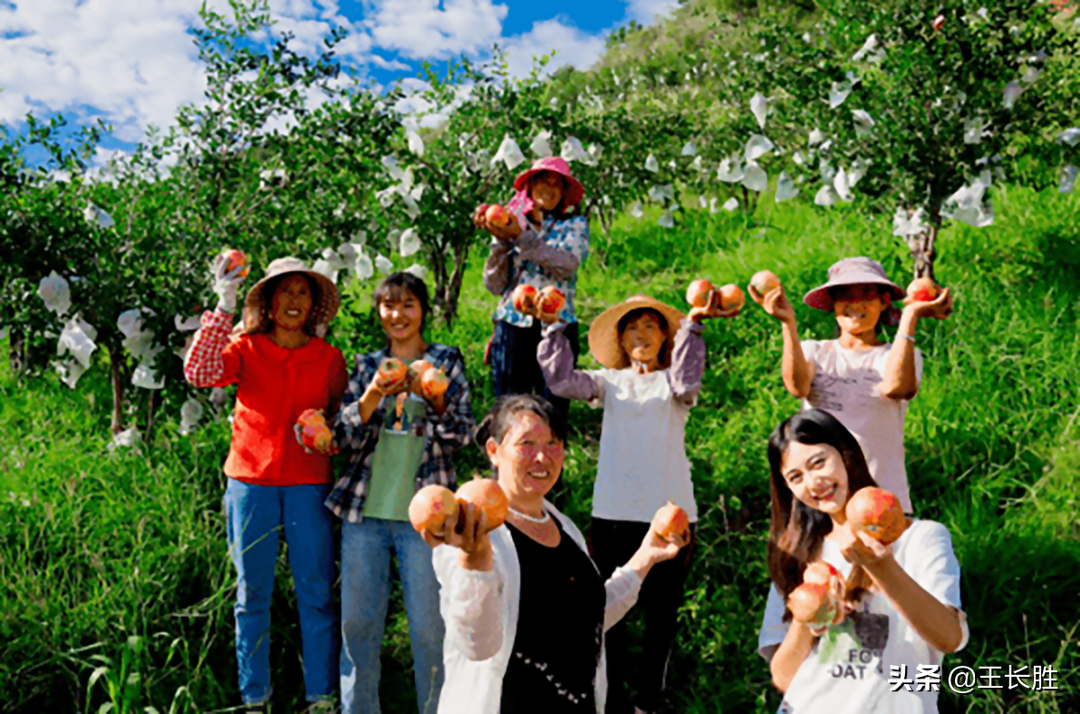 Go all out great why want deep ploughing agriculture " original one kilometer " ? 