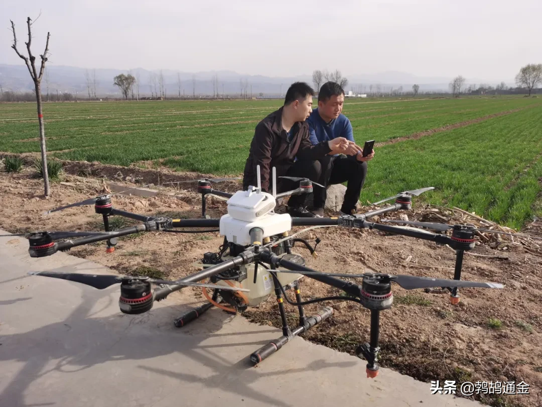 80后不想种地，90后不懂种地，00后不问种地..谁来