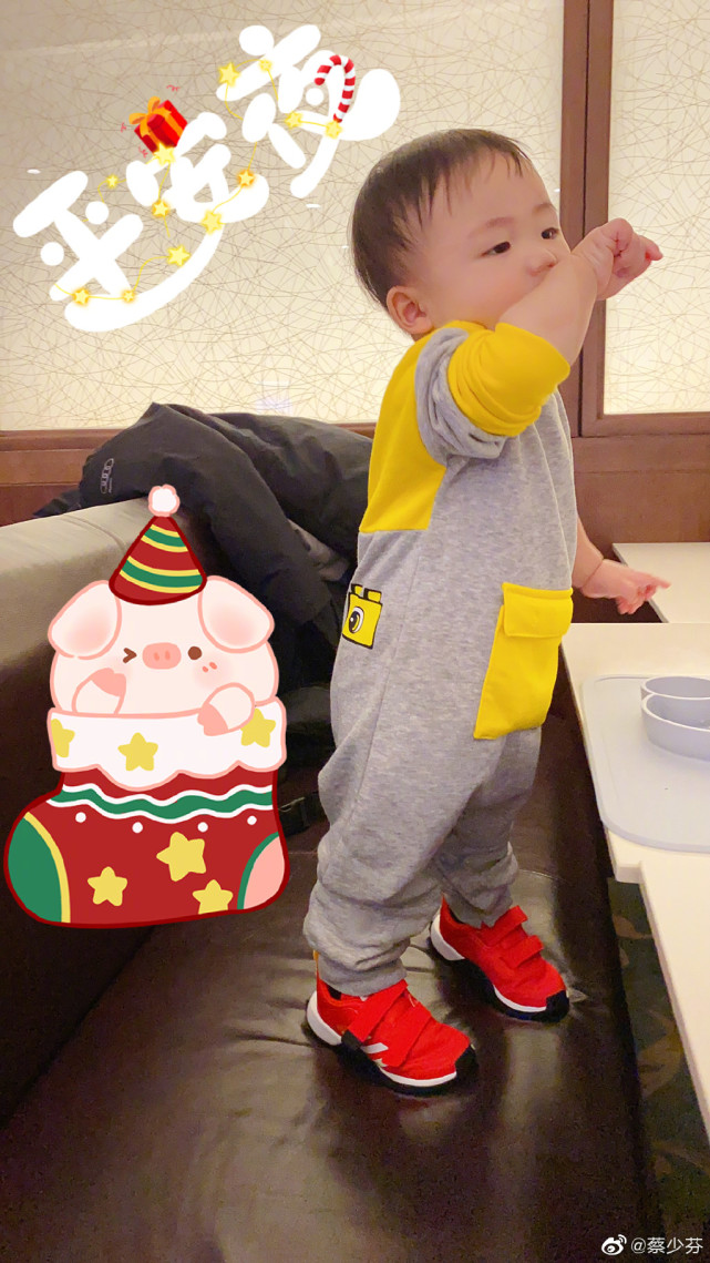 张晋带儿子出镜，鱼蛋眼神呆萌，不动抢到C位，张晋满眼都是儿子