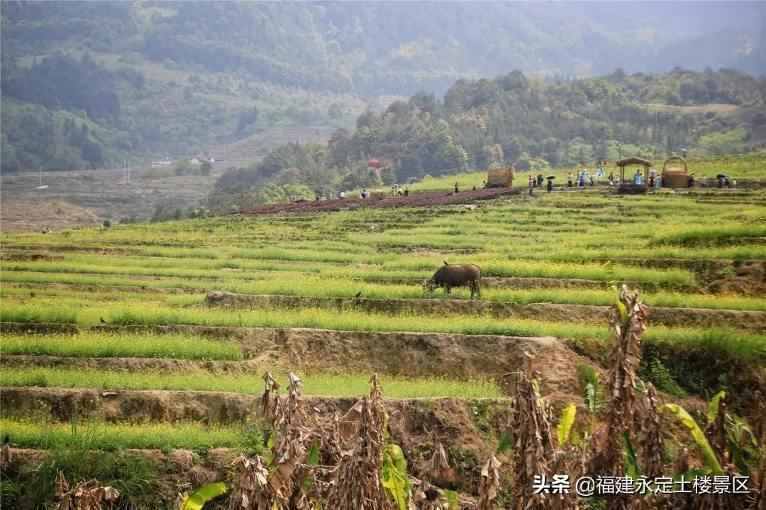 阳春三月 · 永定初溪土楼赴一场春之约