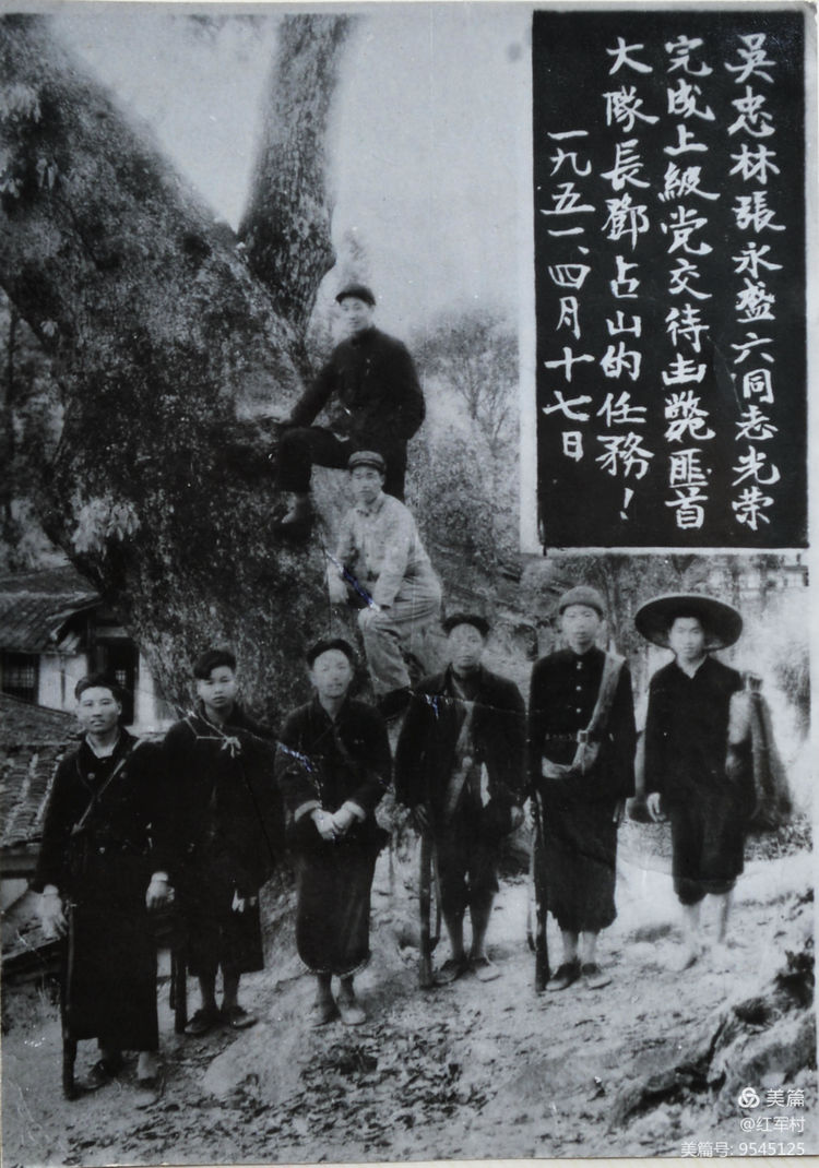 解放初期福建地区剿匪记