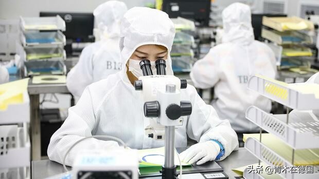 ��ý���й�оƬ��ҵ���롰�ƽ�ʱ�ڡ���������оƬս����ʽ����