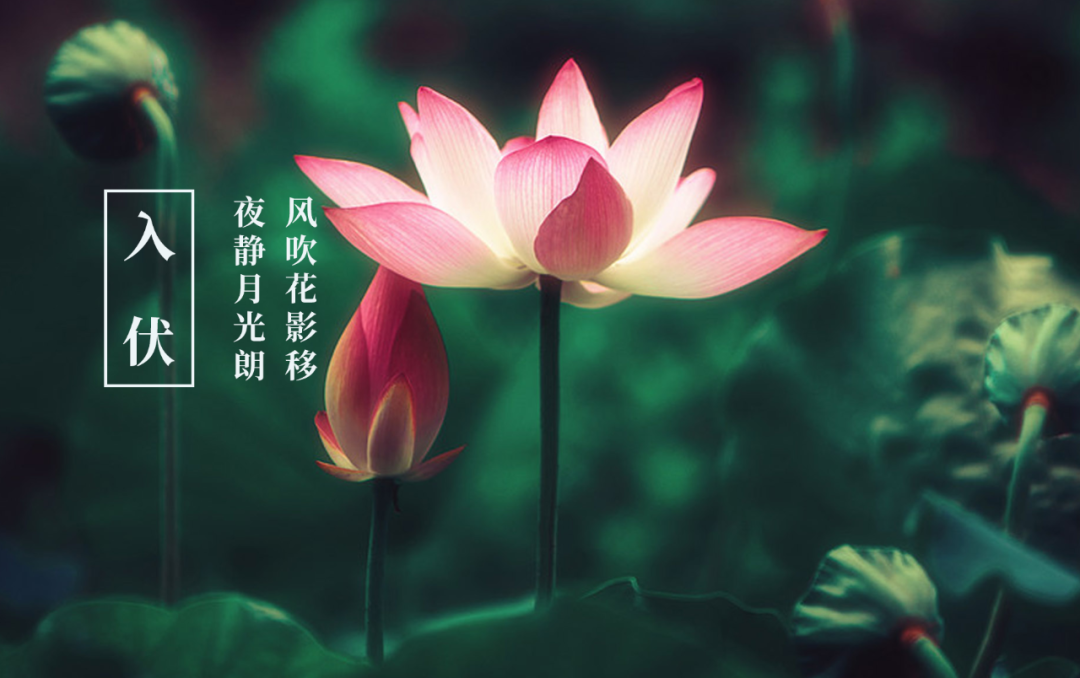今夏入伏，你知道古人写了哪些有关三伏的诗？-第1张图片-非凡网