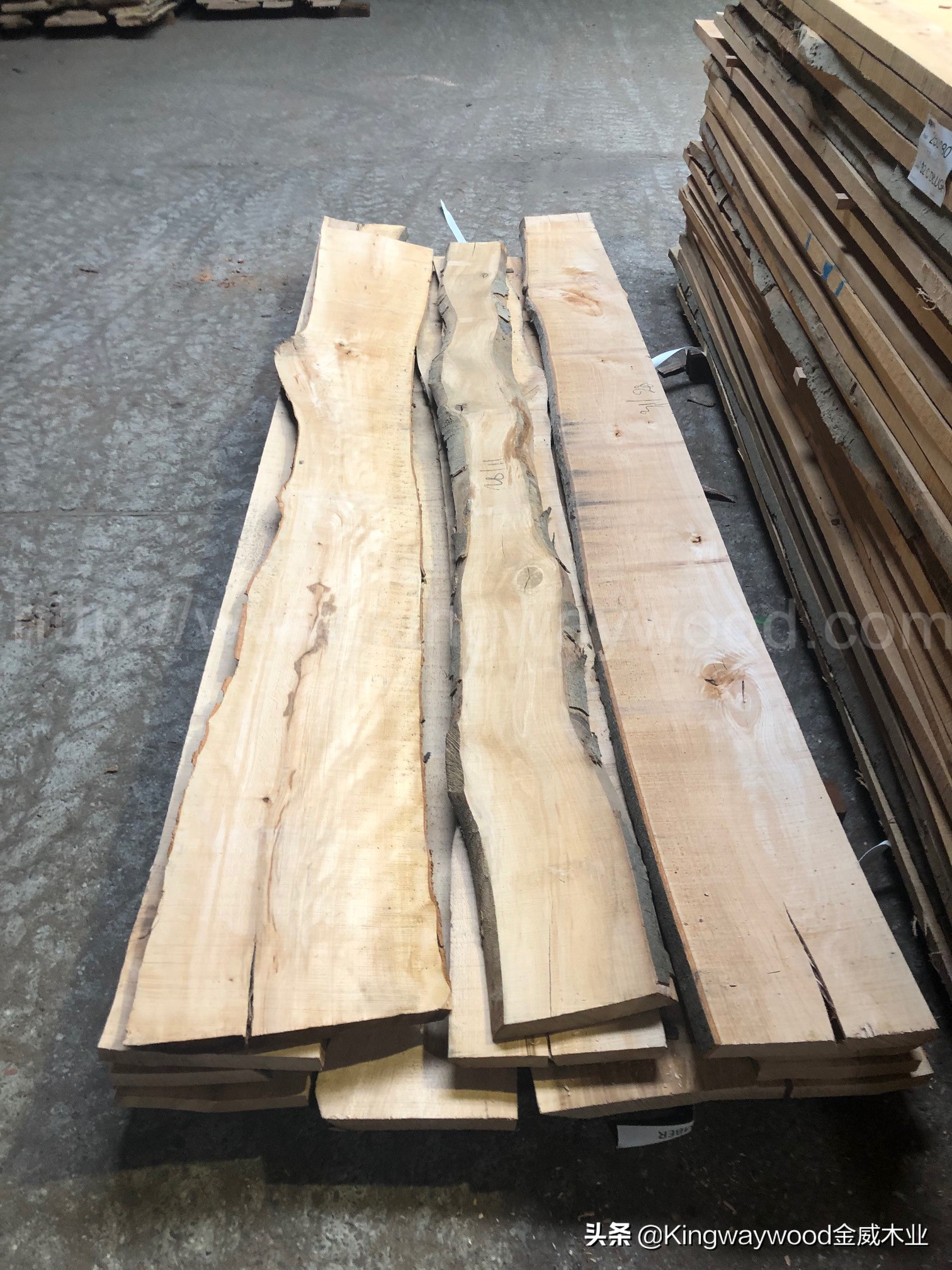 金威木业进口榉木，木质玩具/小部件/家具摆件/工艺品等用料