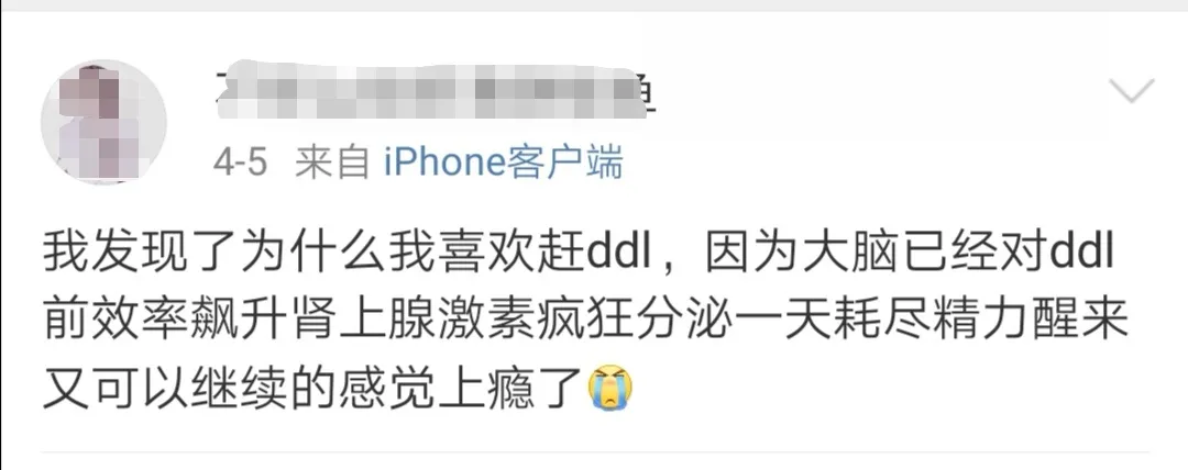 你网课作业写完了吗？每一个赶DDL的日子都是痛并快乐着