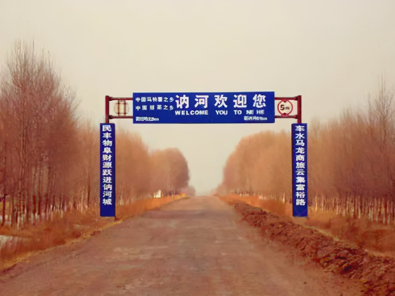 讷河案：一个“仙人跳”牵出42具尸体，现场法医中尸毒至今不愈