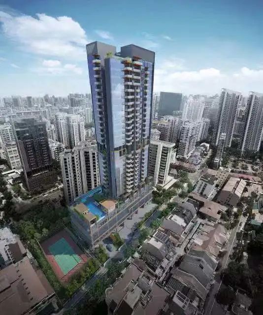 新加坡休闲之路稀缺高端公寓丨Verticus维雅轩