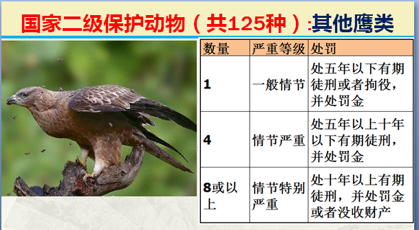 国家最新125类二级野生保护名录，图片及违法对应刑责