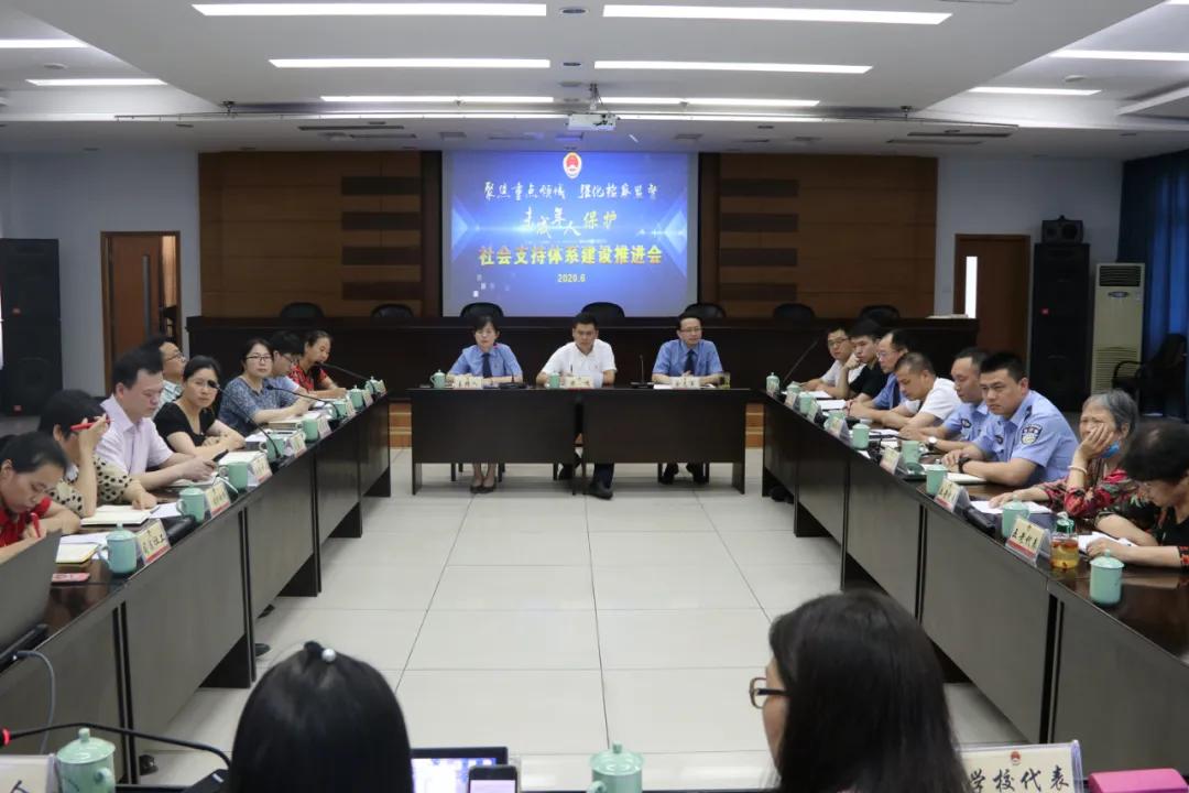 检察机关与各方力量携手构建未成年人保护大格局典型案（事）例