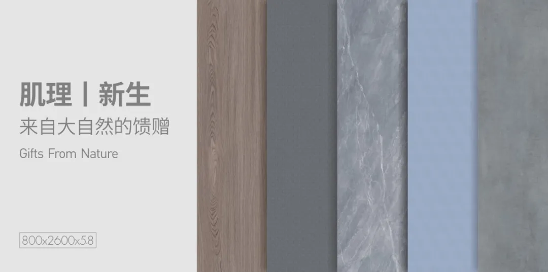 向上而生|2021年东鹏秋季新品,开启家居新时代