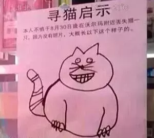 我收集的这些寻猫启示脑洞太大了,我就想问,你画的是什么?