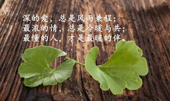 适合发朋友圈人生感悟的经典语录，哪一句触动你！