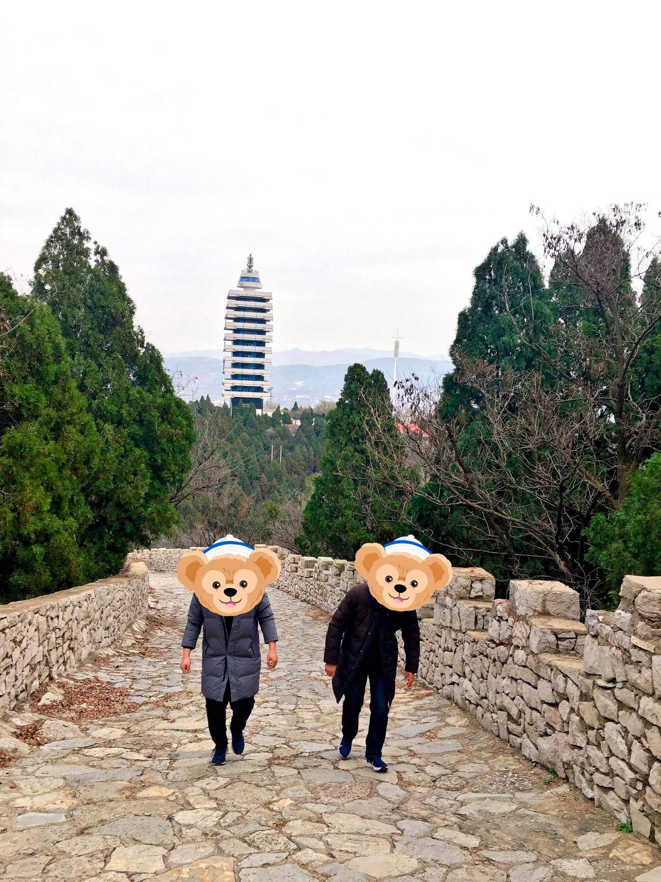 免插卡三网通移动WiFi，每月3000G流量，到哪都自