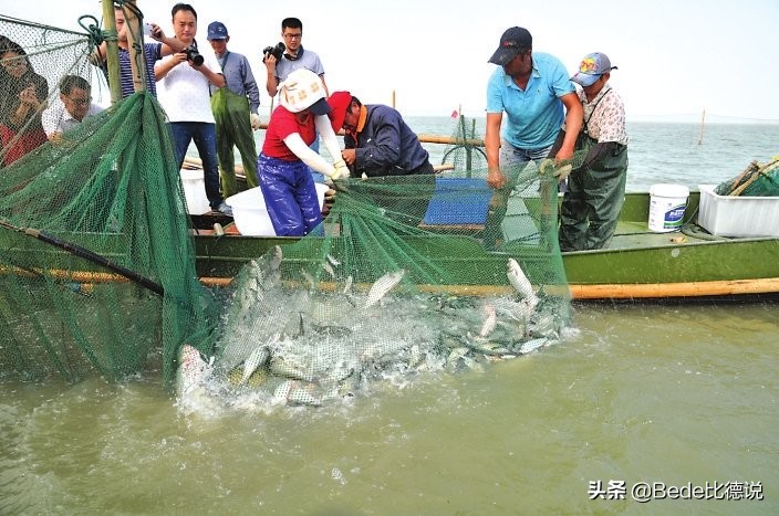 鲁荣渔2682号渔船惨案：33人出海仅11人归来，现实版“大逃杀”？