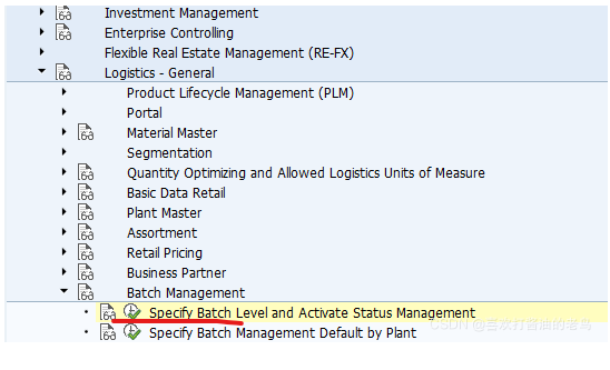 SAP MM 工廠級別的批次管理？