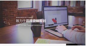 营销型网站建设4