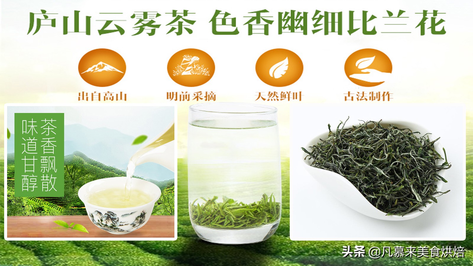 什么茶最好？茶叶品种？中国最好喝的30种名茶，如何选购茶叶