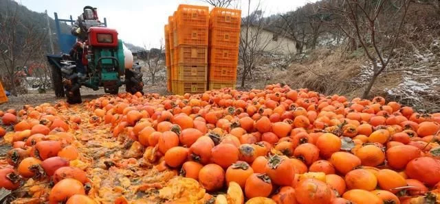 农村又有3条禁令被解除，农民的好日子要来了