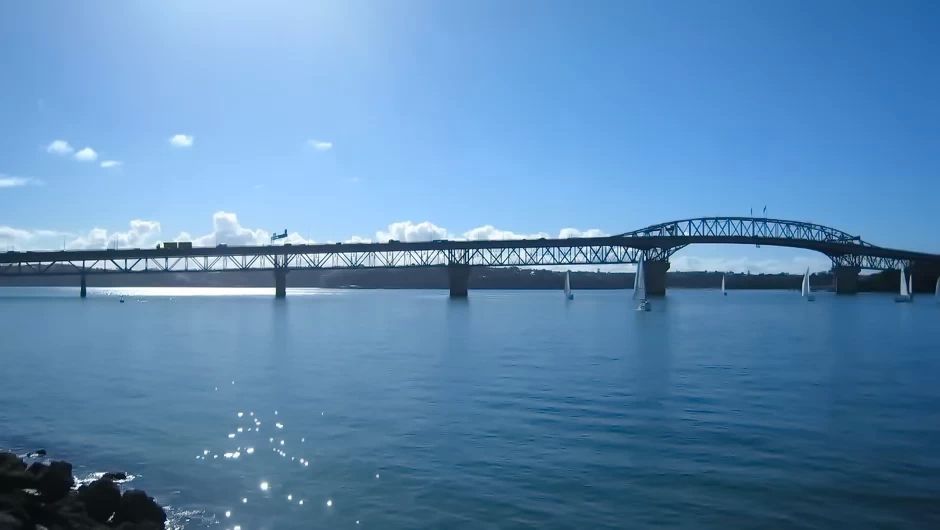 �������й���æ���ţ��������й��ϰ��ڣ�����̾����ж��ѣ�