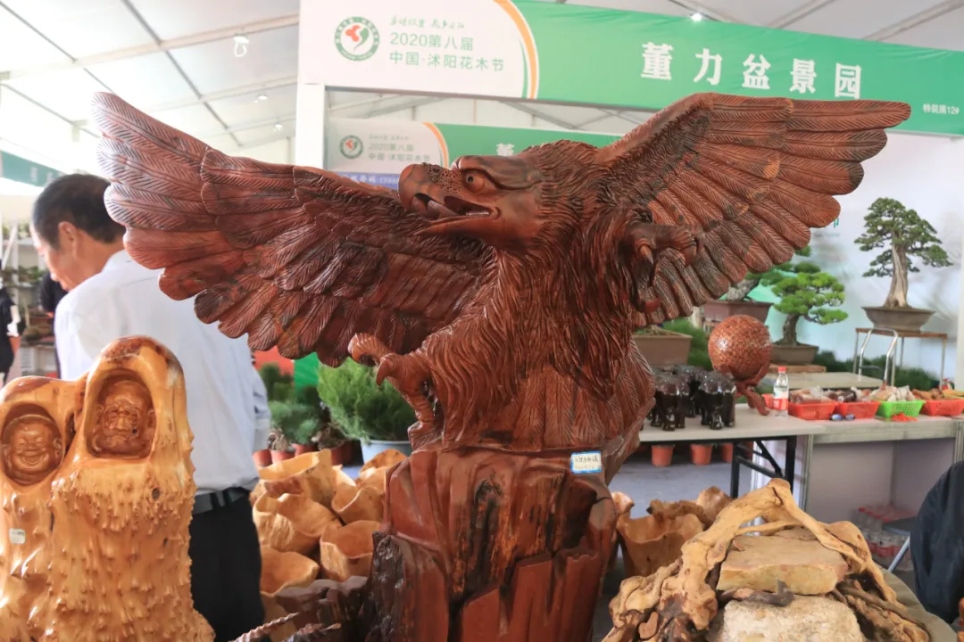 大饱眼福，第八届中国沭阳花木节竟如斯出色！你想看的全在这里…