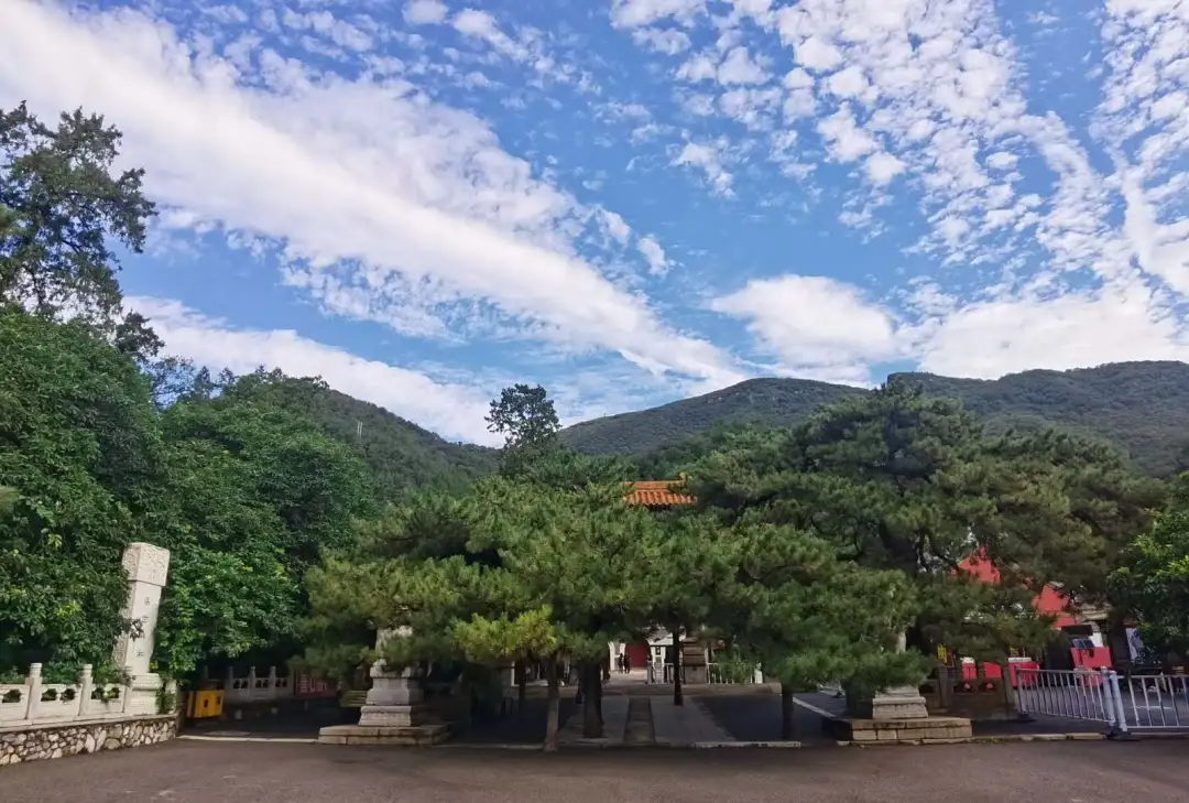 Find the quietness of ancient temples, and enjoy the beautiful scenery of early autumn at Tanzhe Temple and Jietai Temple!