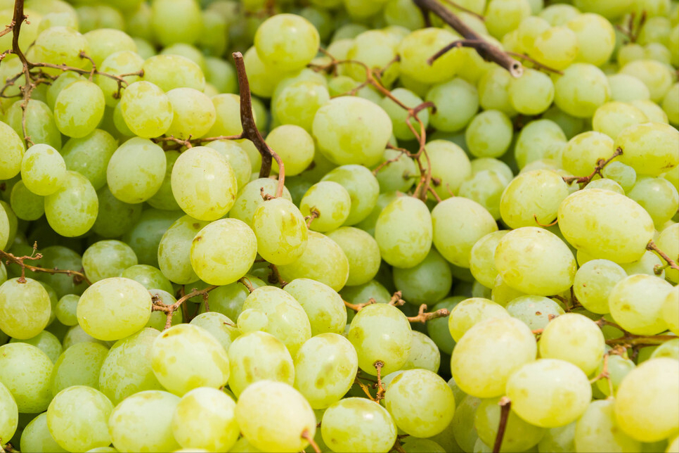 洗葡萄别再用盐水了，教你正确洗法，干净没虫卵，吃葡萄不用去皮