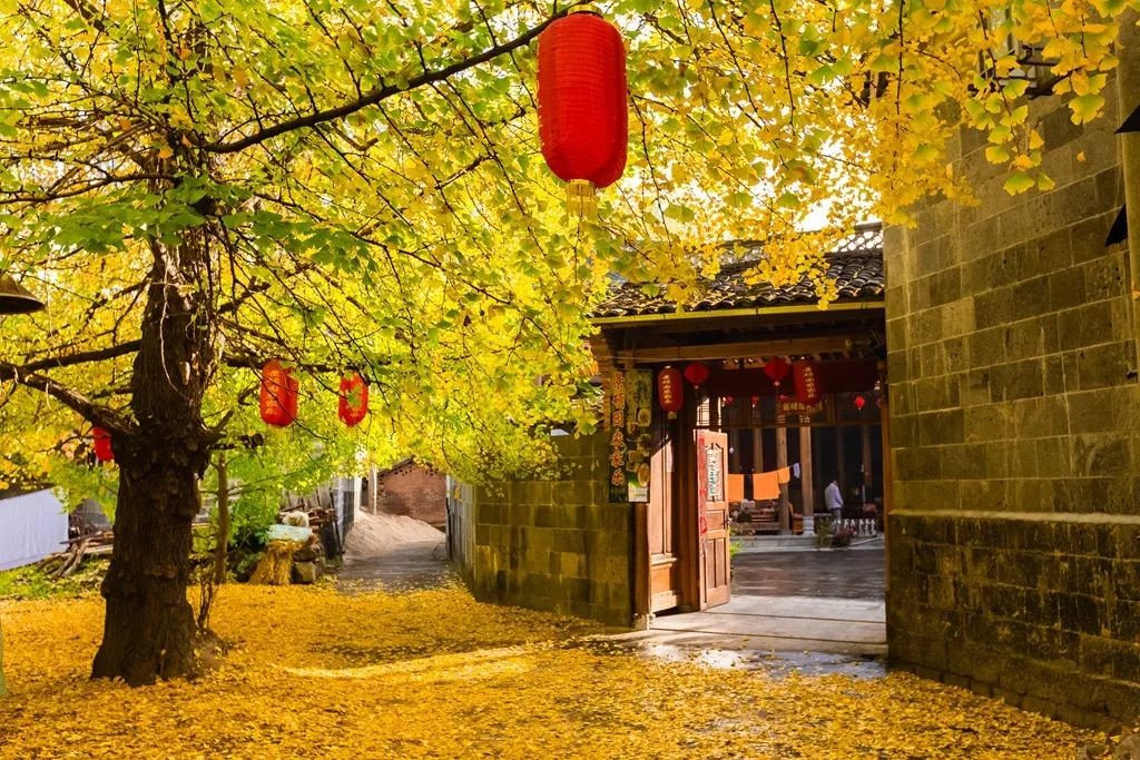 三亚北海算什么？这才是为养老而生的城市，四季如画、生活成本低