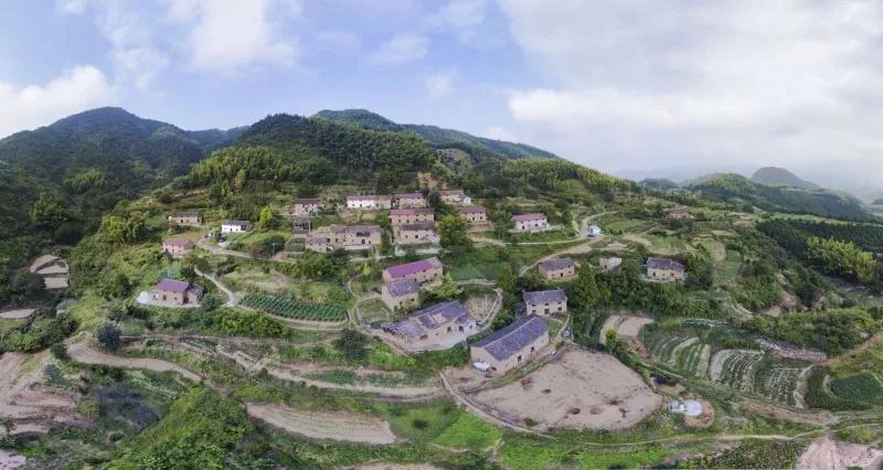 恭喜！浙江建德这10个村被省里点名表扬！有你的家乡吗？