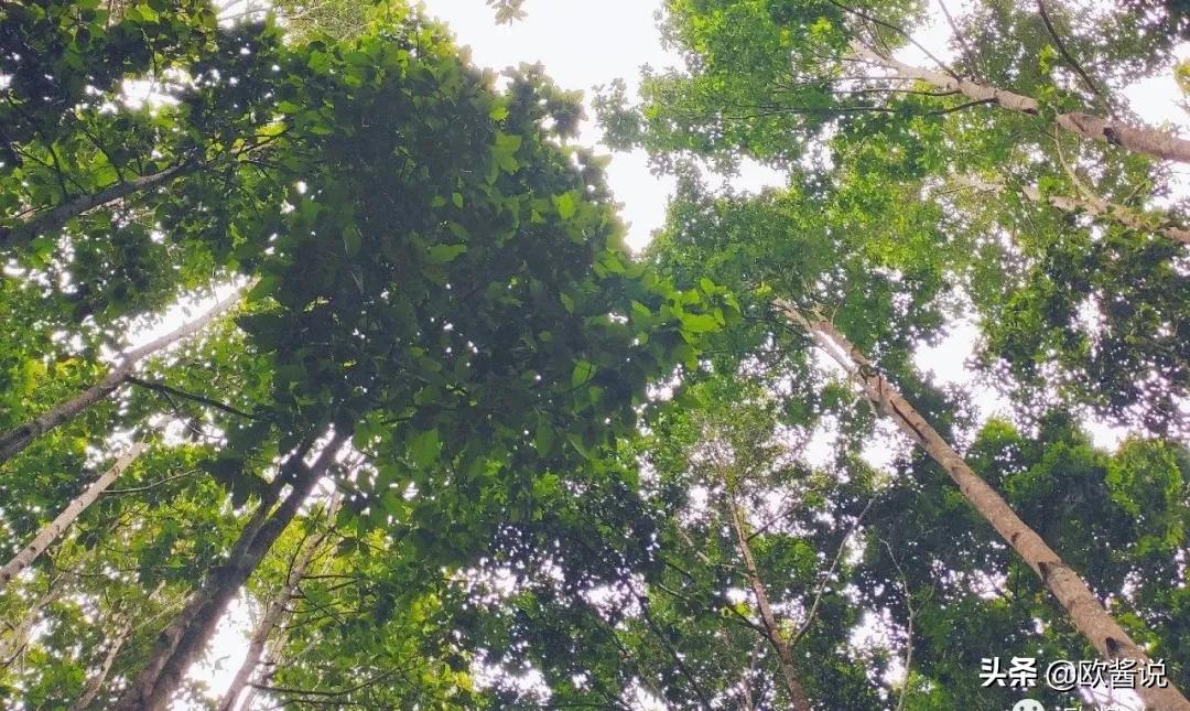 说走就走的旅行，真的适合你吗？踏入未知的旅途，你必须知道这些