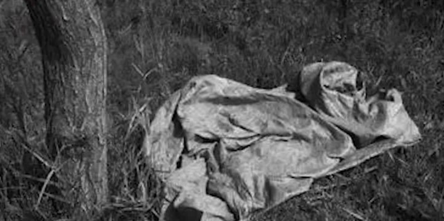 揭露1995年广东大案，世界散打冠军被失足女蛊惑，两拳打死两人，二人被判死刑