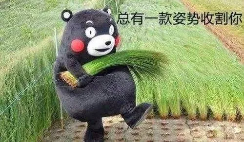 谁杀死了台湾偶像剧?