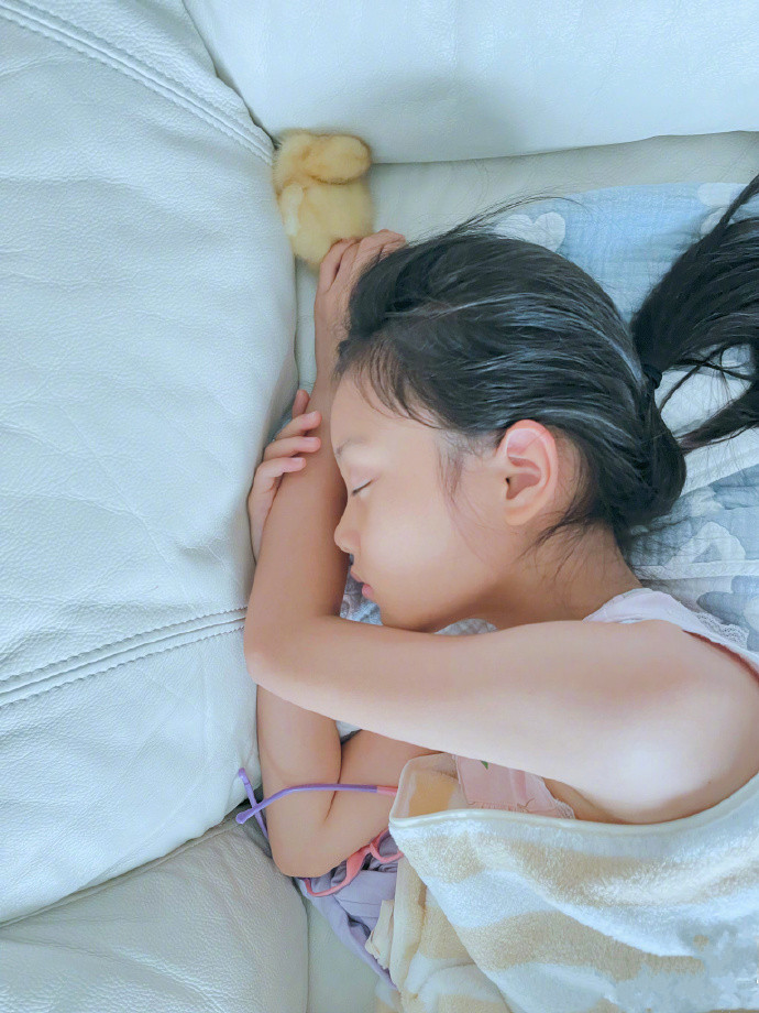 甜馨在家养小鸭子，当起了鸭妈妈，捧着小鸭子睡觉