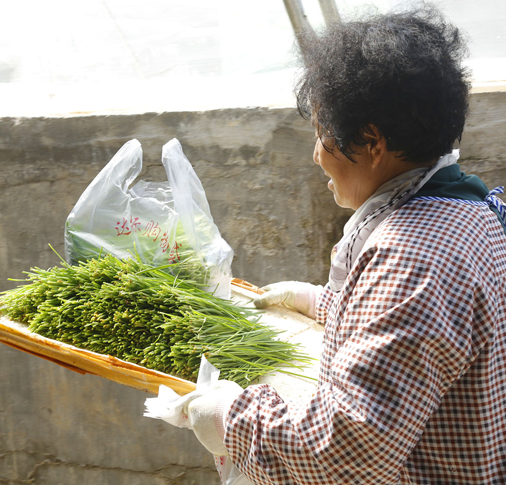 好山好水科技种田，水培蔬菜就是好