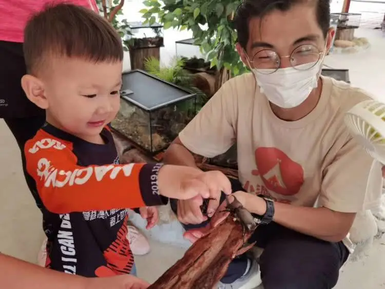 深圳又一遛娃胜地，城市中的自然成长乐园，野趣精致的户外营地