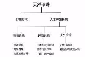 五大方面，教你分辨海水珍珠与淡水珍珠