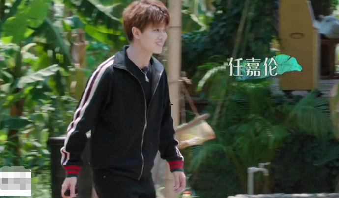 任嘉伦做客《向往》，看到穿的衣服，这才是参