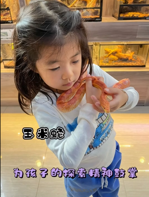 服！ 章子怡5歲女兒接觸冷血動物，醒醒徒手抓蛇摸蜥蜴超淡定