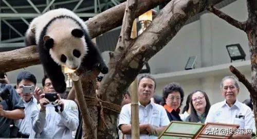 年租金高达710万！这个中国特产，只租不卖