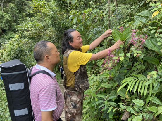 云南省福贡县：依托自然资源 开启百姓增收新路子