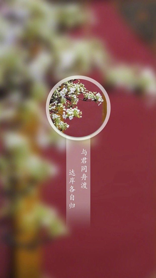 适合宣告单身签名句：余生不用你指教了